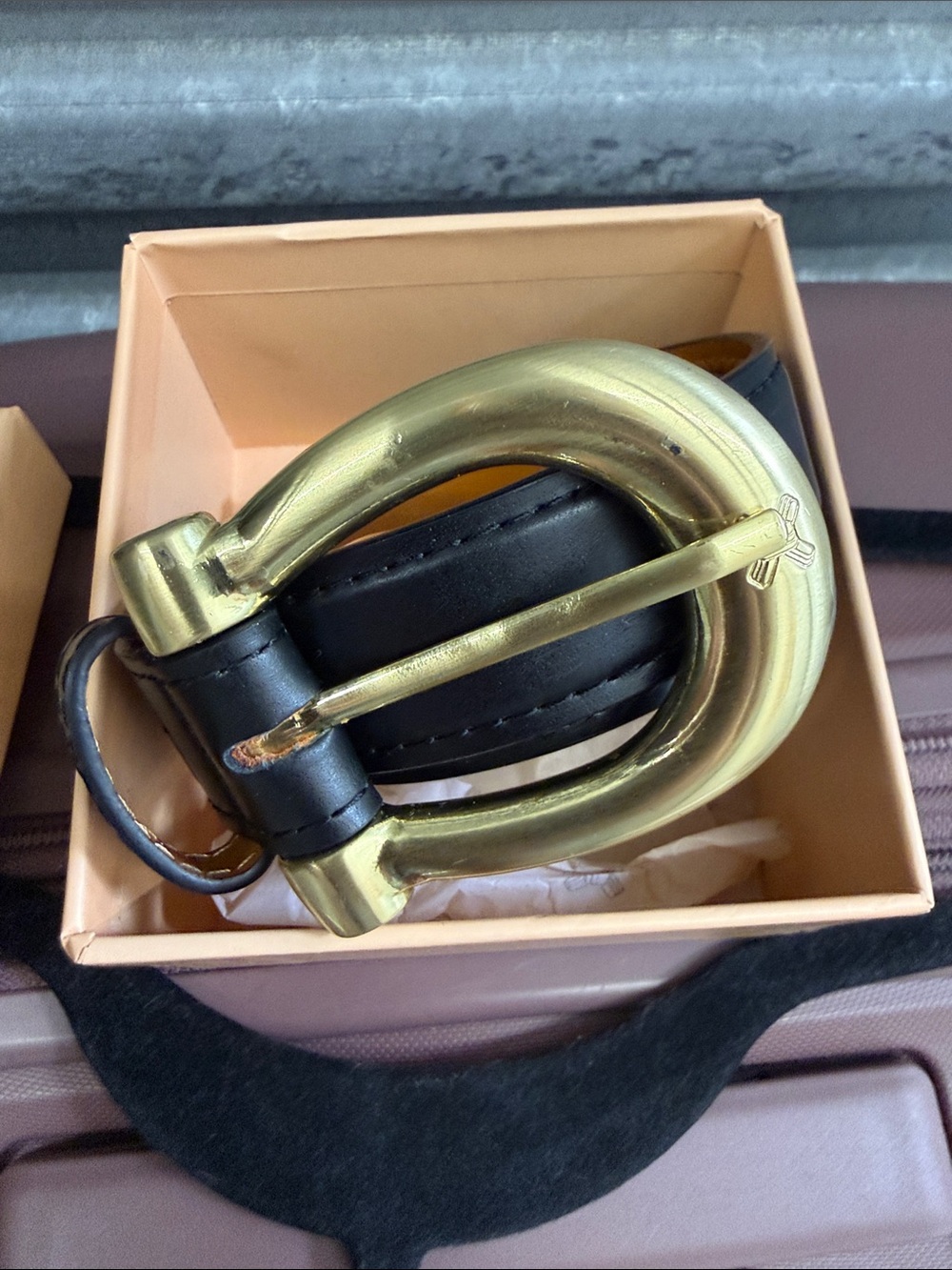 Sancia black belt